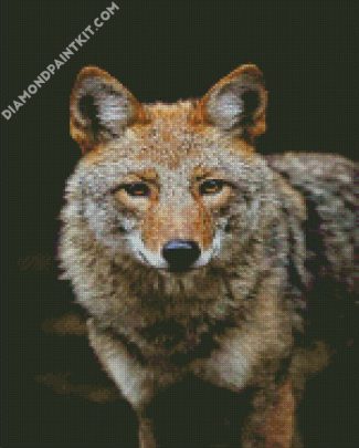 brown Coyote animal diamond paintings