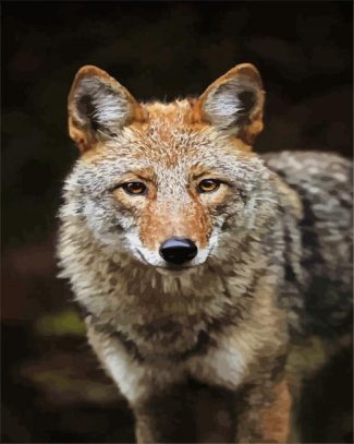 brown Coyote animal diamond painting