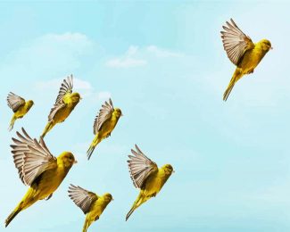 canary Birds Flock diamond painting