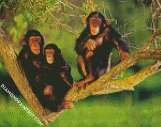 Chimpanzee Family diamond painting