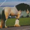 Clydesdale diamond painting