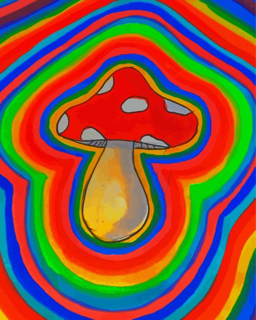 Colorful Mushroom diamond painting