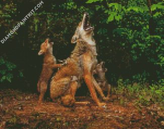 coyote howling lesson diamond paintings