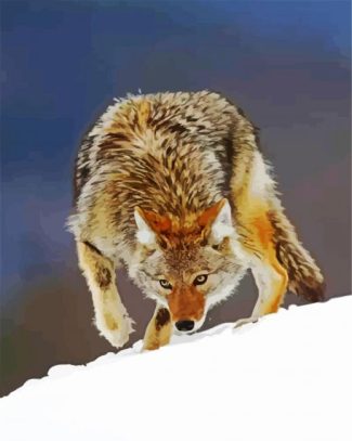 coyote in snow diamond painting