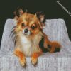 Cute Chiweenie Dog diamond painting