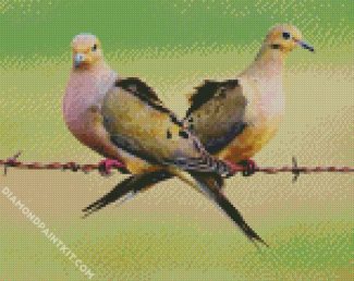 Cute Doves diamond painting