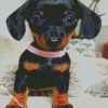 Cute Doxie Puppy diamond painting