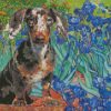 dachshund And Irises diamond paintings