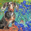 dachshund And Irises diamond painting