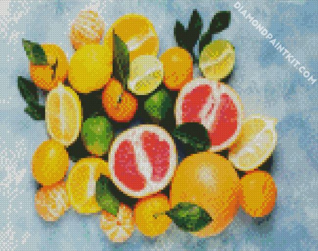 Fruits Citrus diamond painting