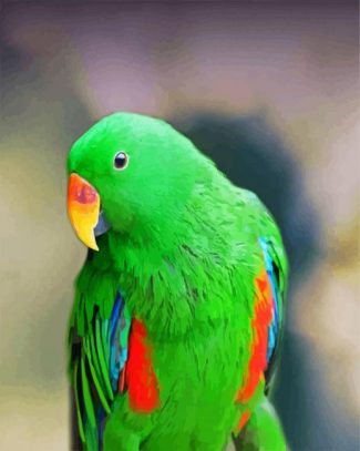 green eclectus parrot diamond painting
