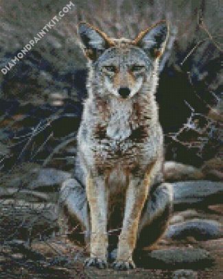 grey Coyote diamond paintings