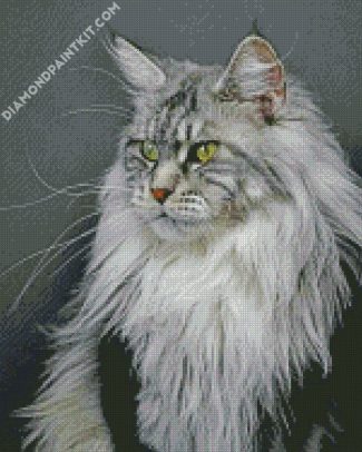 Majestic Maine Coon Cat diamond painting
