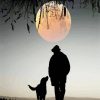 man and dog silhouette diamond painting