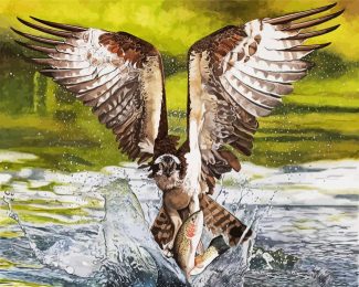 osprey Catching Fish diamond painting