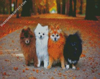 Pomeranian Puppies Dogs diamond painting