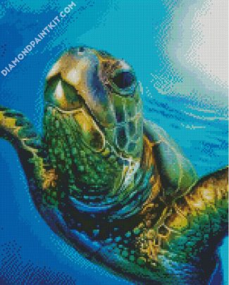 Sea Turtle In The Water diamond painting