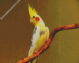 Yellow Cockatiel diamond painting