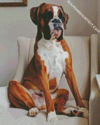 Boxer Dog diamond painting
