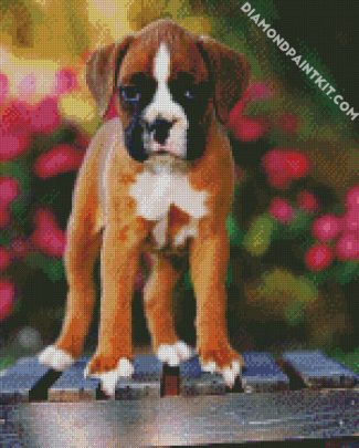 Boxer Puppy diamond painting