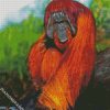 Orangutan Animal diamond painting