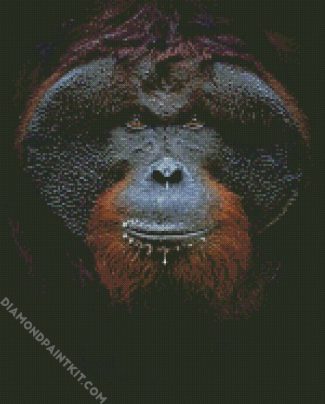 Orangutan Close Up Face diamond painting