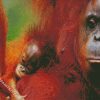 Orangutans Monkey diamond painting
