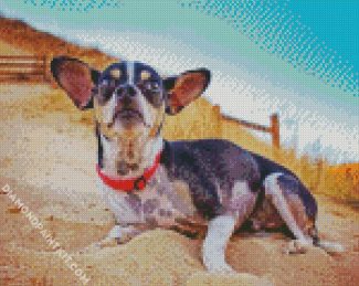 Rat Terrier At The Top Of Hill diamond painting