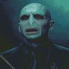 Voldemort diamond painting