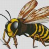 Wasp Insect diamond painting