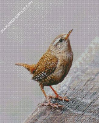 Wren Bird Animal diamond painting