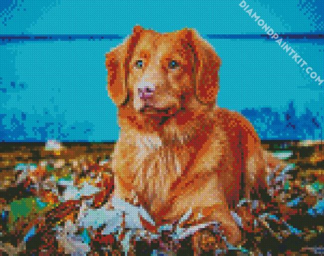 Adorable Toller diamond painting