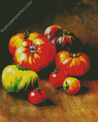 Aesthetic Tomatoes Fruit diamond painting