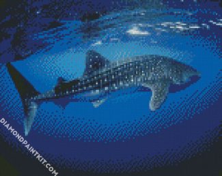 Aesthetic Whale Shark diamond painting