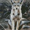 Aesthetic Coyote diamond painting