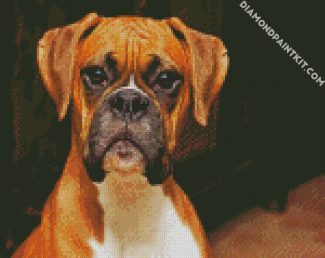Brown Boxer Dog diamond painting