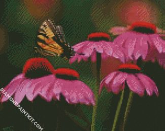 Butterfly And Purple Coneflower diamond painting