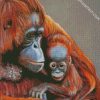 Cute Orangutans diamond painting