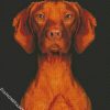 Cute Brown Vizsla Dog diamond painting