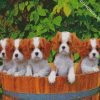 Cute King Charles Spaniel Puppies diamond painting