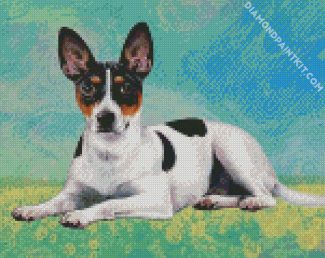 Cute Rat Terrier diamond painting