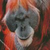 Mad Orangutan diamond painting