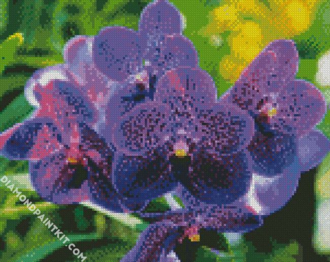 Vanda Orchid diamond painting
