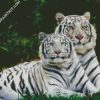 White Tigers diamond painting