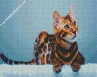 Bengal Cat Animal diamond painting