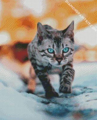 Bengal Cat Blue Eyes diamond painting