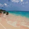 Bermuda Seascape diamond painting