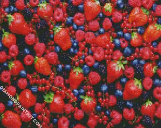 Berries Fruits diamond painting