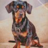 Black Brown Chiweenie Dog diamond painting