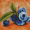 blueberry Fruits diamond painting